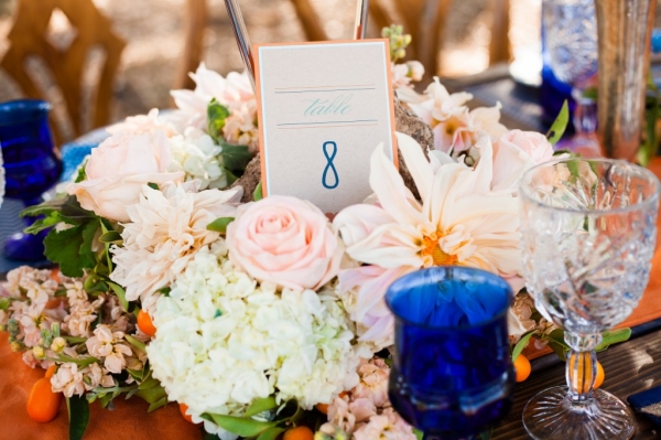 View More: http://ashleywhitlowphotography.pass.us/vibrant-ranch-styled-wedding
